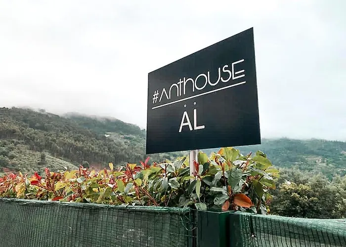 Anthouse